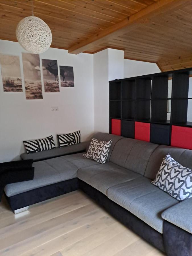Ferienwohnung Schmaranzer Gosau Εξωτερικό φωτογραφία