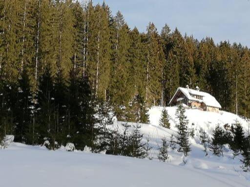 Ferienwohnung Schmaranzer Gosau Εξωτερικό φωτογραφία