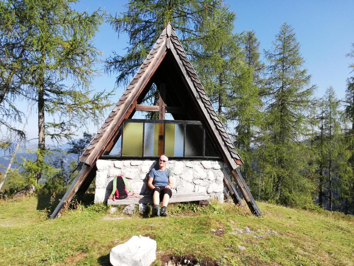 Ferienwohnung Schmaranzer Gosau Εξωτερικό φωτογραφία