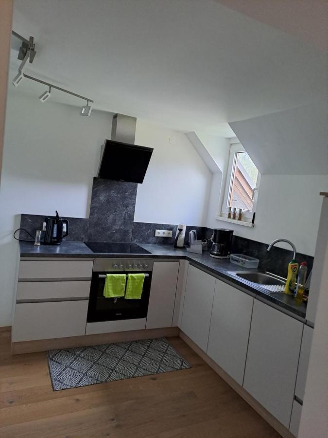 Ferienwohnung Schmaranzer Gosau Εξωτερικό φωτογραφία