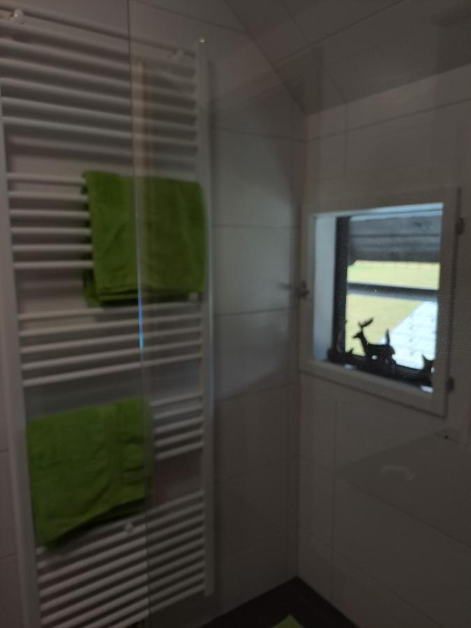 Ferienwohnung Schmaranzer Gosau Εξωτερικό φωτογραφία